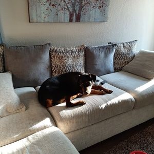 Meet your Posher, Angelica